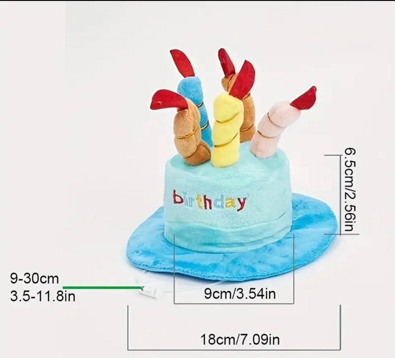 Happy Birthday Celebration Hat