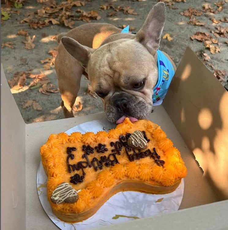 Carrot Cinnamon Cake