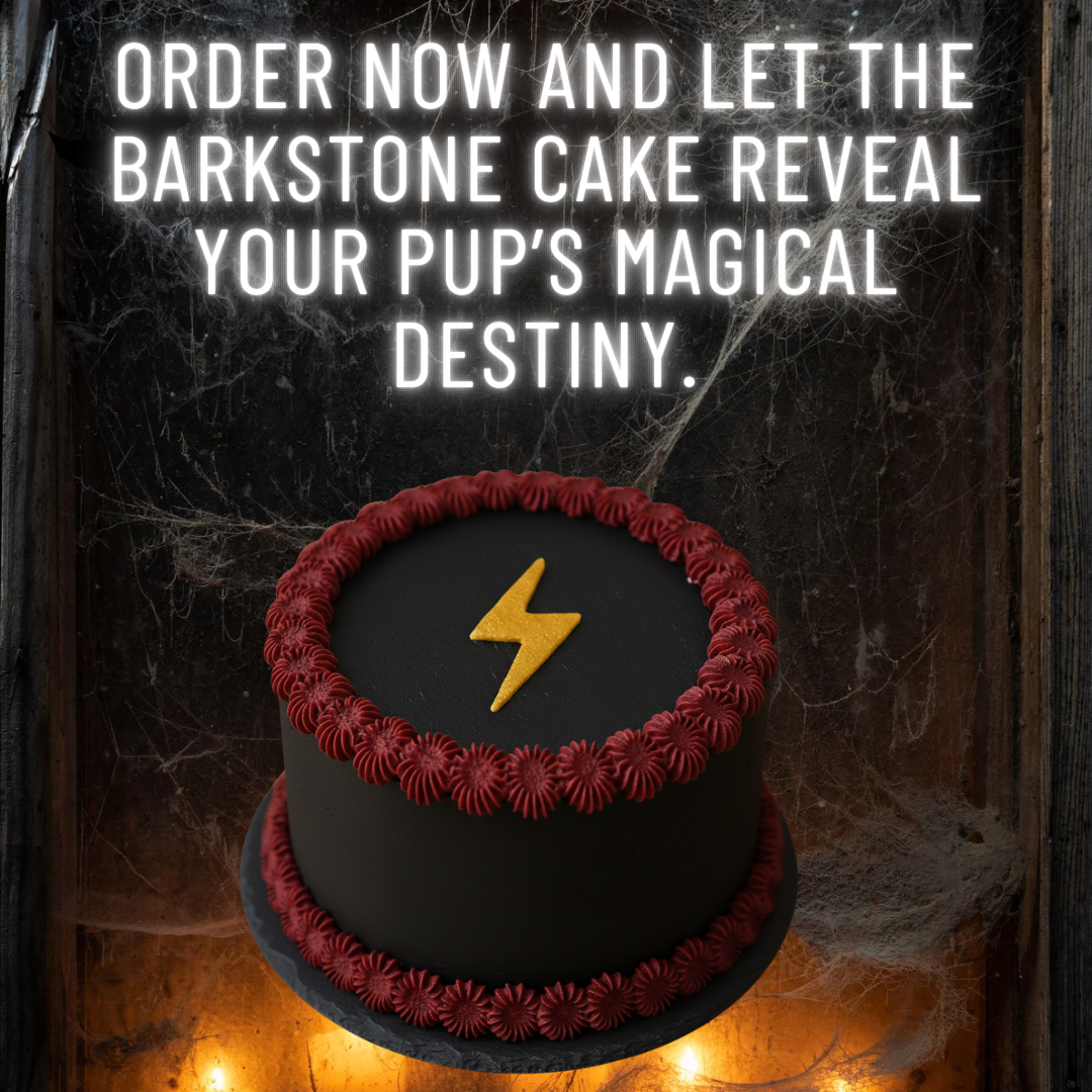 Bark School of Wizardry Box
