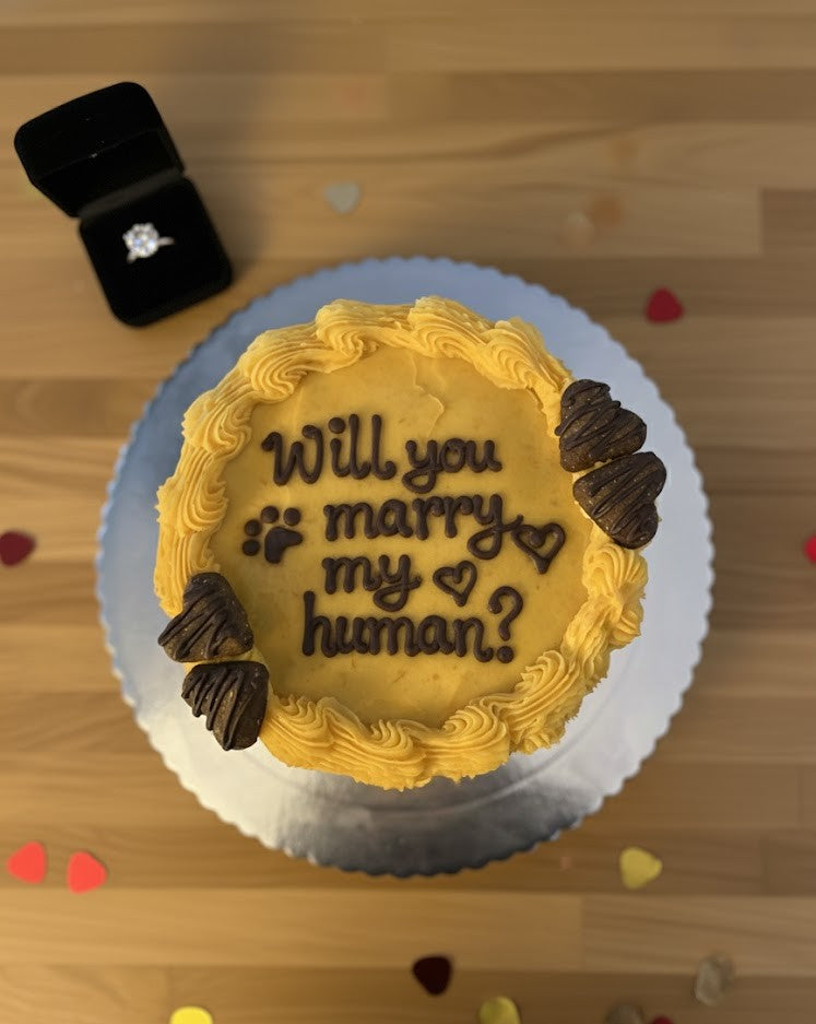 Proposal Cake – Let Your Dog Pop the Question!