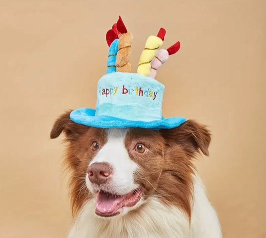 Happy Birthday Celebration Hat