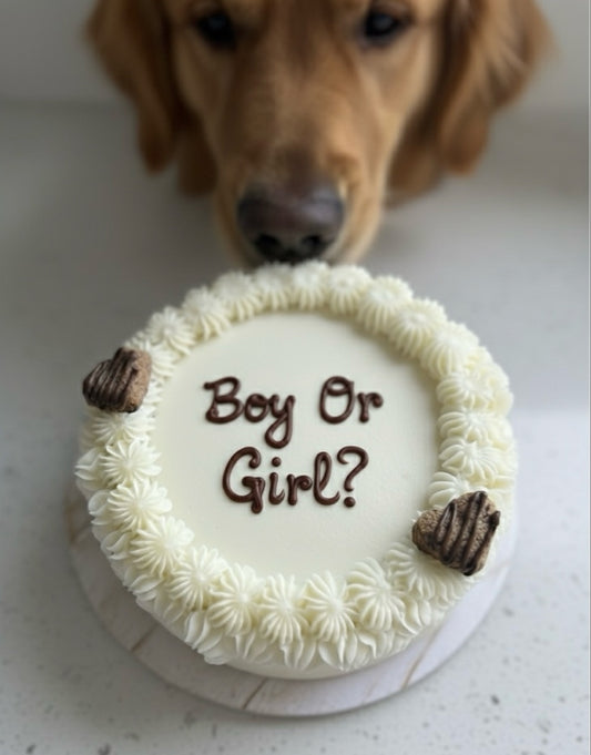 Dog-Friendly Gender Reveal Cake