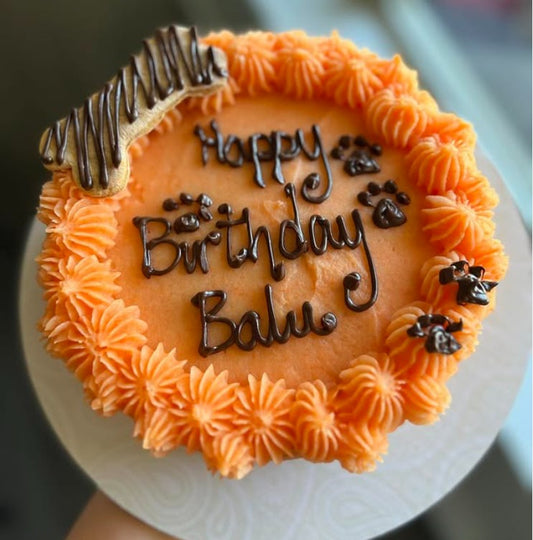 Chicken & Sweet Potato Cake