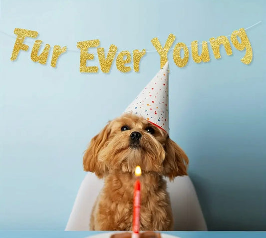 Furever Young Birthday Banner