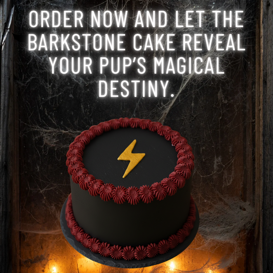Bark School of Wizardry Box