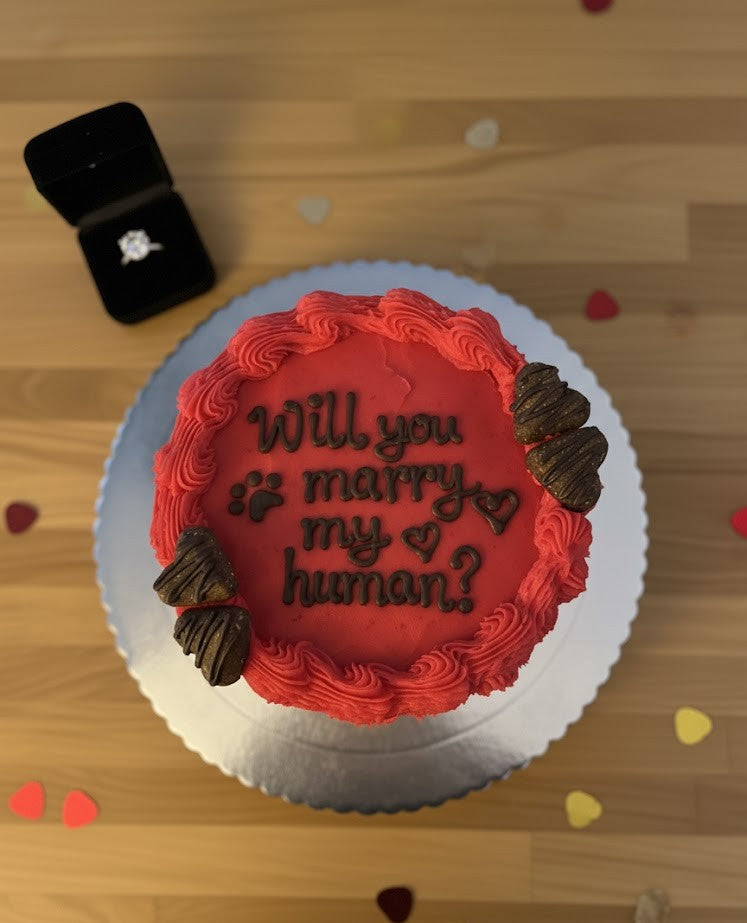 Proposal Cake – Let Your Dog Pop the Question!