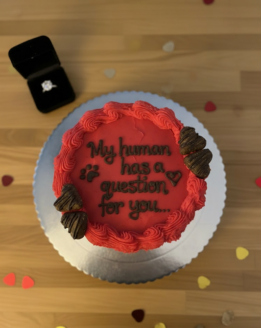Proposal Cake – Let Your Dog Pop the Question!