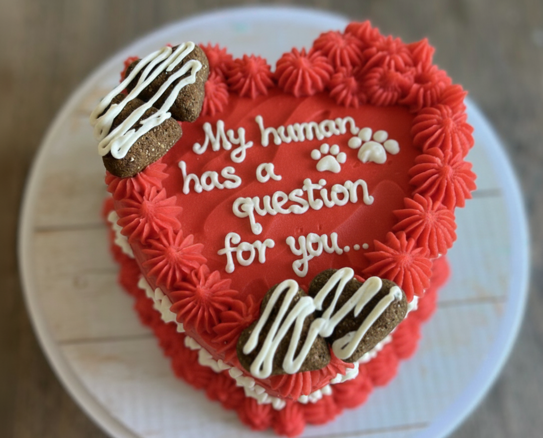 Proposal Cake – Let Your Dog Pop the Question!