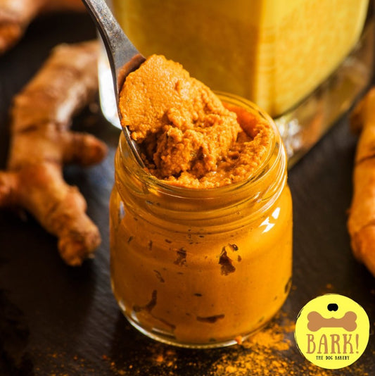 Anti-Inflammatory Turmeric Paste